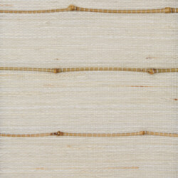 Aya Snow Avalon Aya Snow