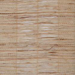 Calgary Oyster Avalon Calgary Oyster