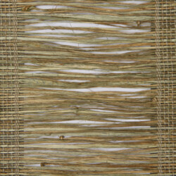 Hampton Olive Avalon Hampton Olive