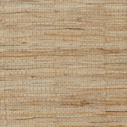 Marbella Oyster Avalon Marbella Oyster