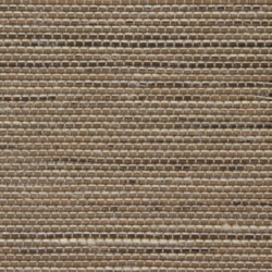 Phoenix Olive Avalon Phoenix Olive