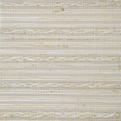 Panama - Seagrass Coronado Panama Seagrass