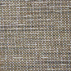 Sausalito - Fawn Coronado Sausalito Fawn