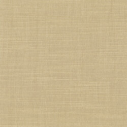 Linen Light BO - Mushroom Linen Light Blackout - Mushroom