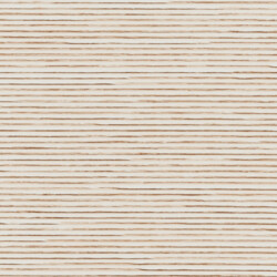 Palister - Cotton Palister - Cotton