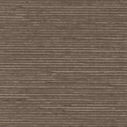 Palister - Earth Palister - Earth