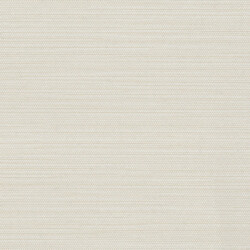 Tusk - Coconut
