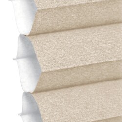 543-Sisal